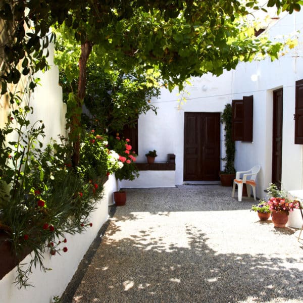 Une cour ensoleillée avec des plantes bordant les murs, une porte en bois marron, des murs peints en blanc, une table avec une chaise et des plantes en pot au sol.