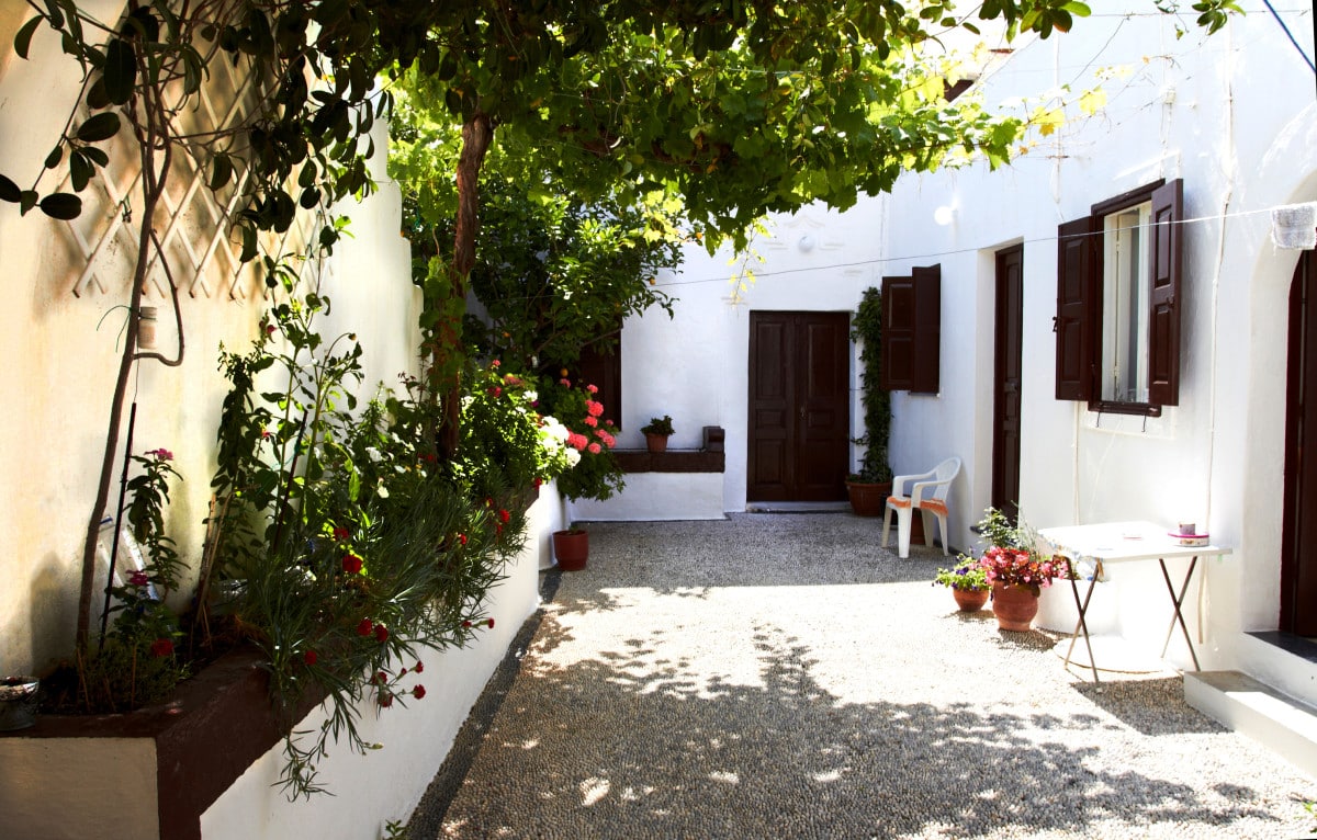 Une cour ensoleillée avec des plantes bordant les murs, une porte en bois marron, des murs peints en blanc, une table avec une chaise et des plantes en pot au sol.