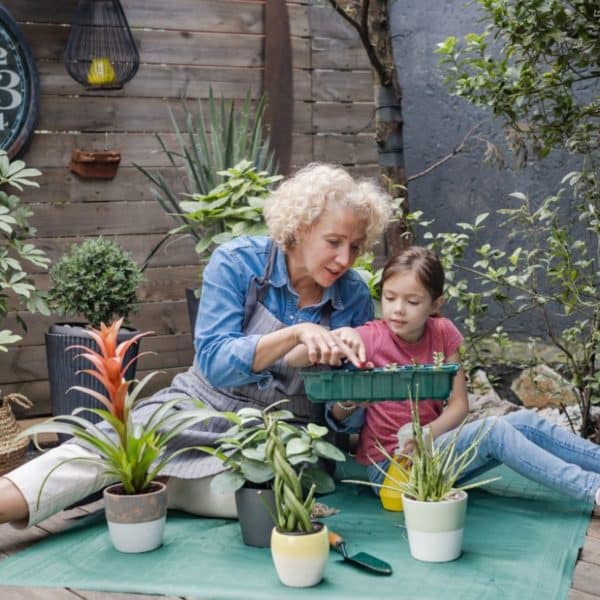 Une Femme âgée Et Une Jeune Fille Sont Assises Sur Un Tapis Dans Leur Petit Jardin, Disposant Des Plantes Dans Des Pots. Une Grande Horloge Orne La Clôture En Bois Derrière Elles, Veillant Avec Douceur Sur Leurs Moments De Sérénité Au Jardin.