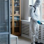 Cafards : les meilleures solutions professionnelles et durables pour une élimination efficace