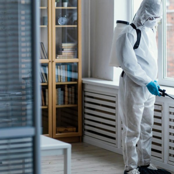 Cafards : les meilleures solutions professionnelles et durables pour une élimination efficace