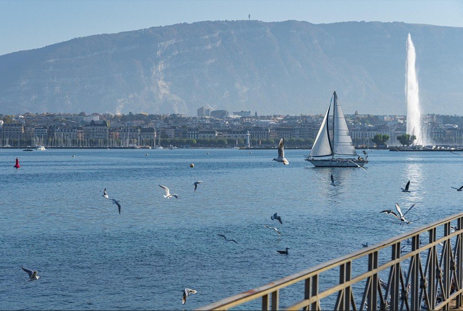 Un Voilier Se Déplace Sur Un Lac Avec Des Mouettes Volant à Proximité, Un Paysage Urbain Lointain, Une Fontaine Et Une Montagne En Arrière Plan.